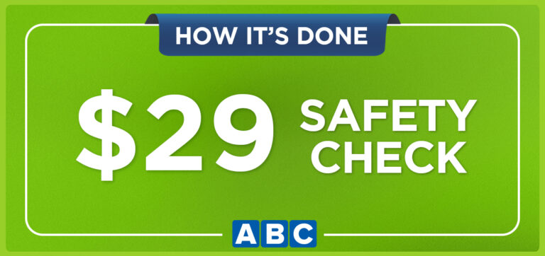 $29 Safety Check