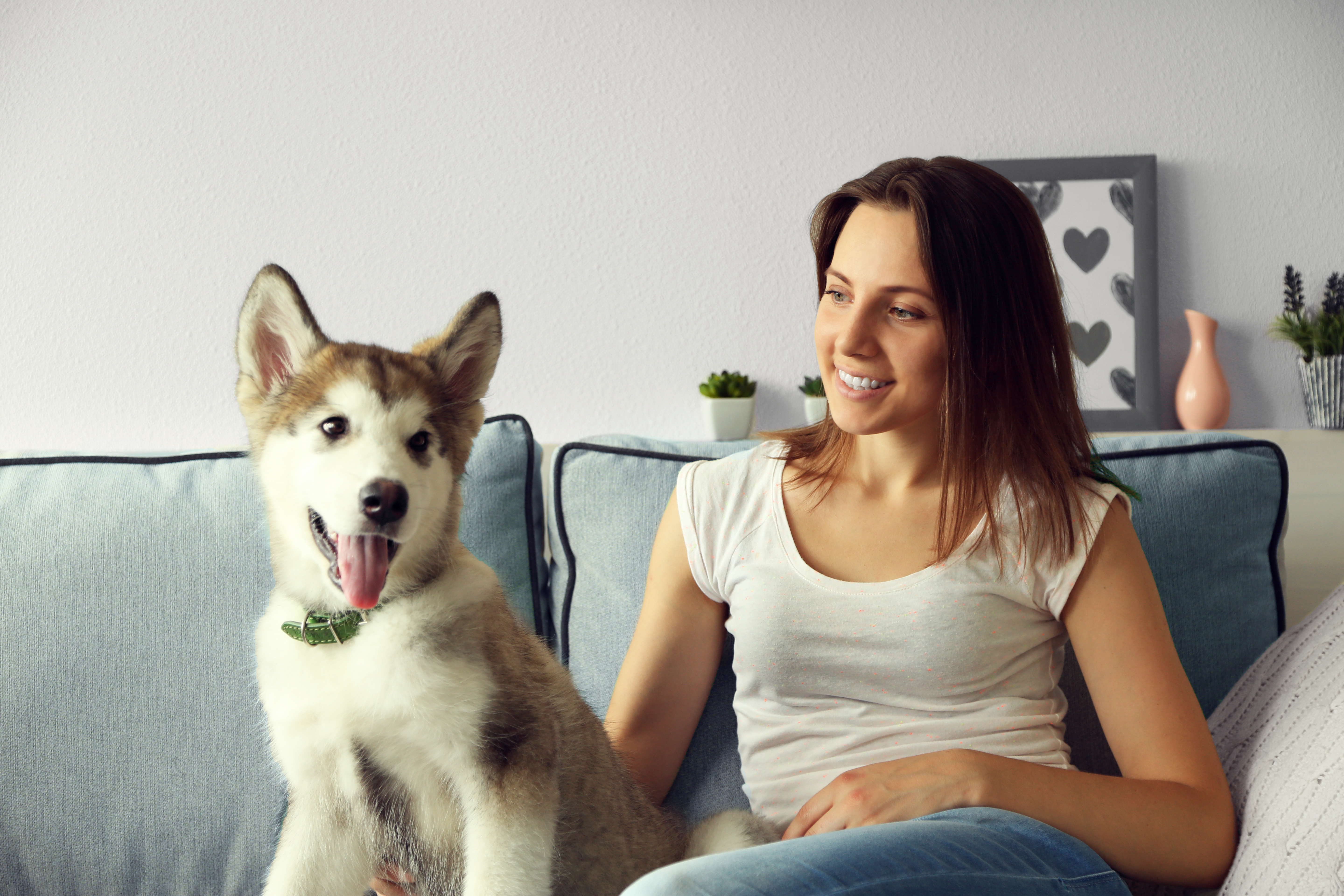Comfortable ABC customers after an AC installation
