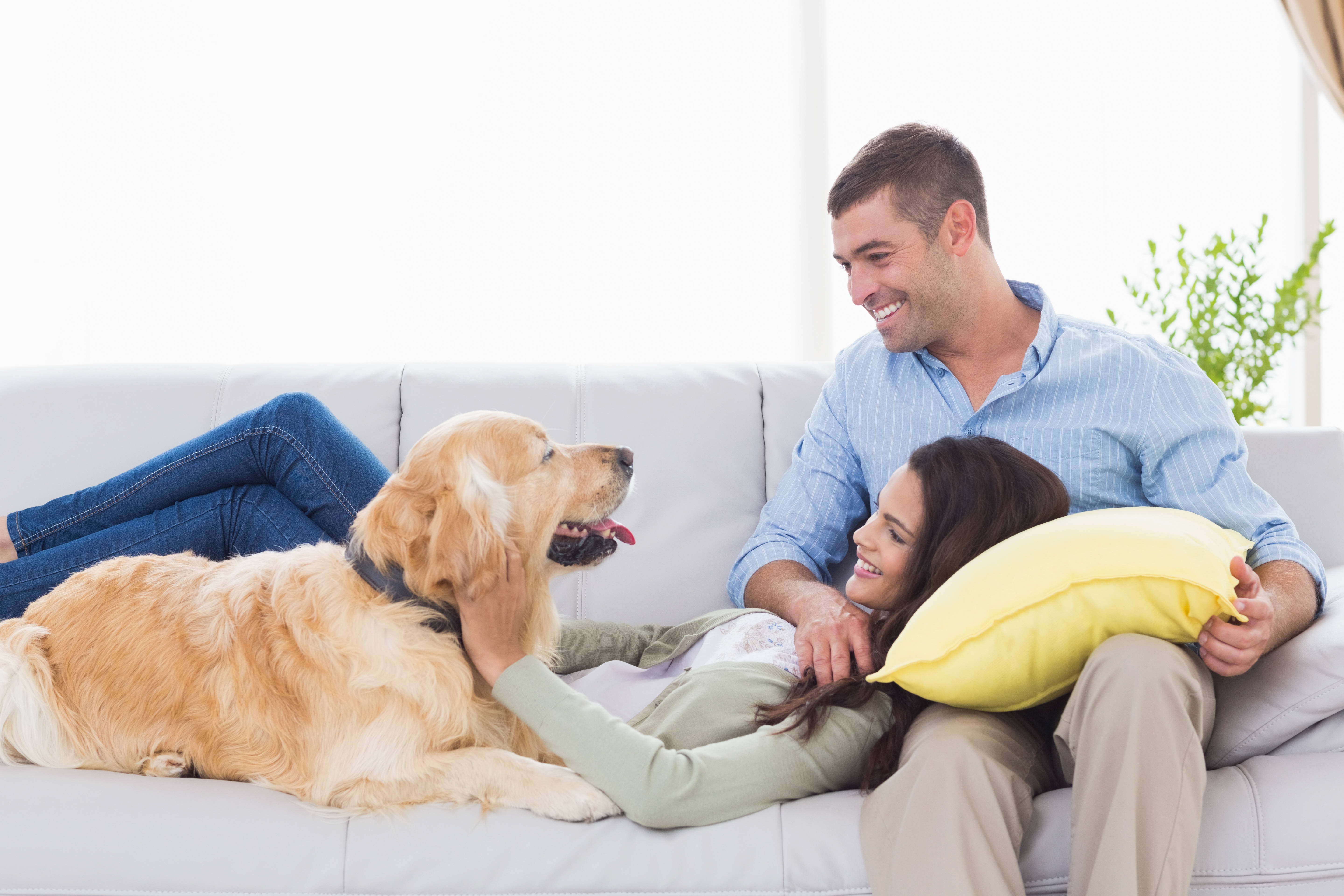A satisfied couple in the home after calling ABC Plumbing in Tampa for their electrical needs.
